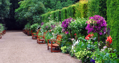 Fără titlu (940 x 500 px) (1)